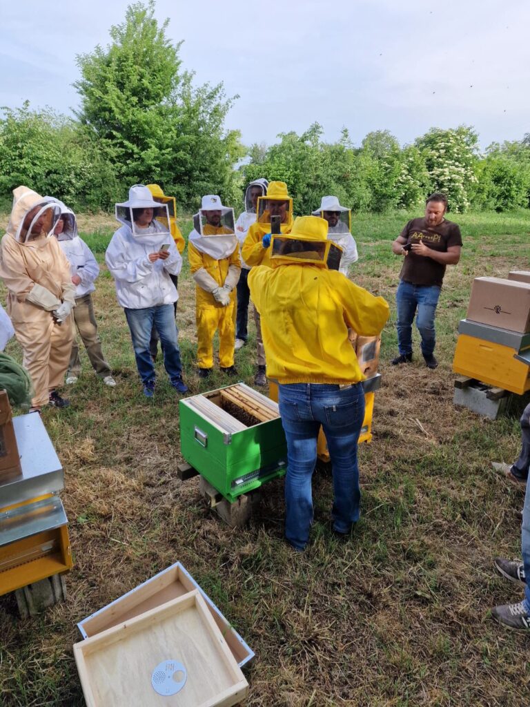 Corso per principianti di apicoltura