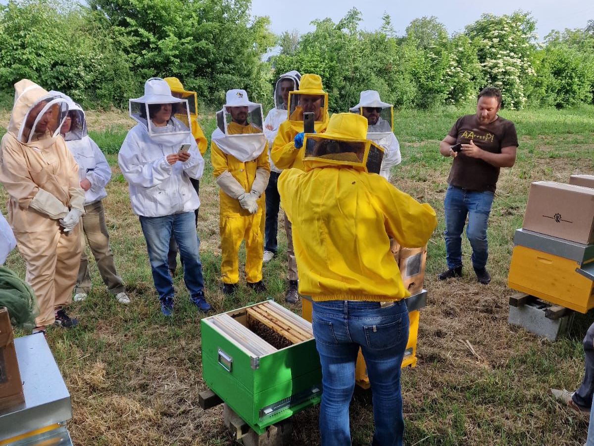corso per principianti di apicoltura